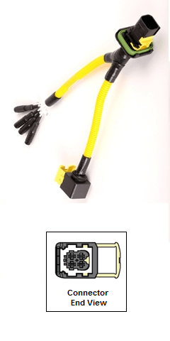 Harness, Breakout - Image 2