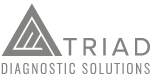 Triad-Logo-Horizontal-International-Grey